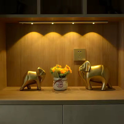 LED DECORATIVO CON SENSOR DE MOVIMIENTO + 🔋 Batería recargable con USB