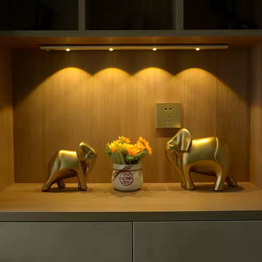 LED DECORATIVO CON SENSOR DE MOVIMIENTO + 🔋 Batería recargable con USB